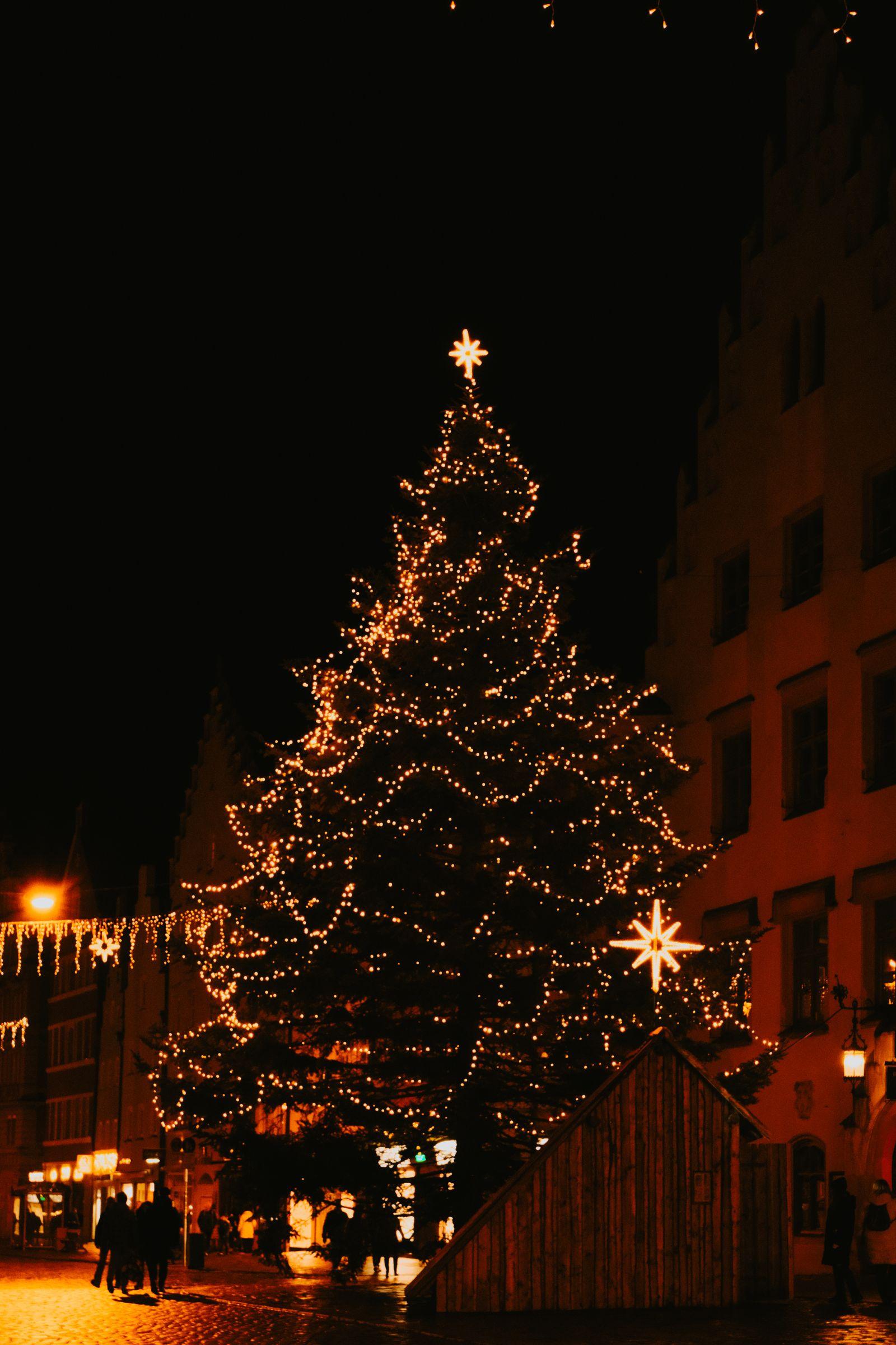 Albero Galassia